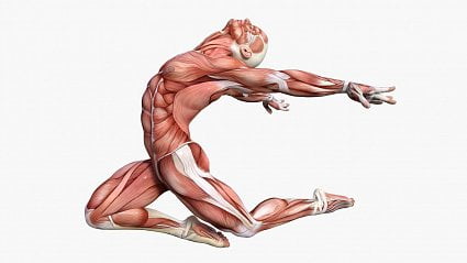 Fascinující fascie aneb opomíjený důvod bolesti